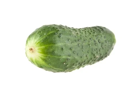 Cucumber isolated on white background Stock Photos