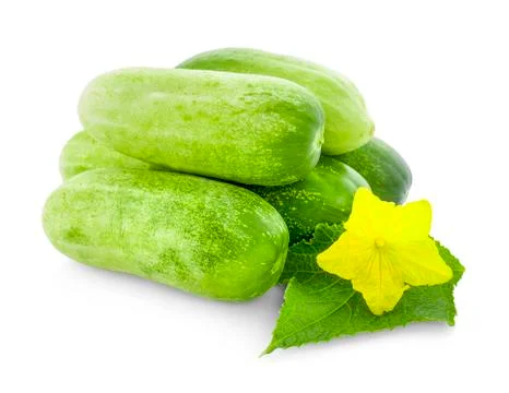 Cucumber isolated on white background Stock Photos
