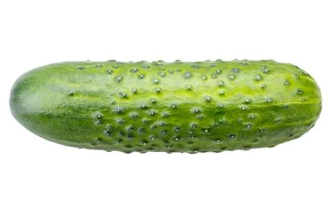 Cucumber isolated on white Stock Photos