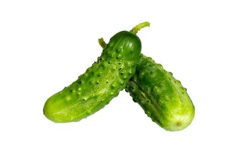 Cucumber isolated on white. Stock Photos