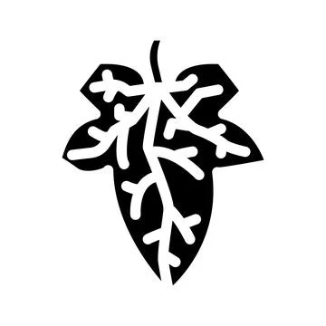 Cucumber leaf glyph icon vector illustration イラスト素材