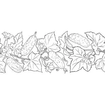 Cucumber Outline Horizontal Seamless Pattern. Stock Illustration
