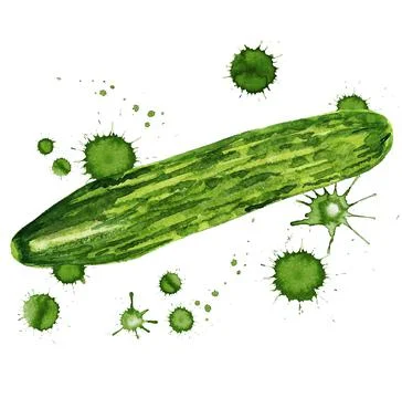 Cucumber with paint blots Stock Illustration