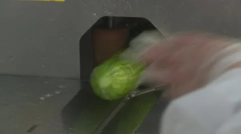 Cucumber-peeling-machine Stock Footage 55583335