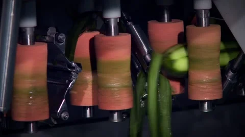 Cucumber-peeling-machine-inside Stock Footage 55583285