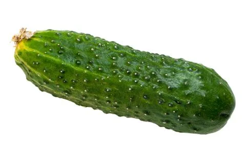 Cucumber Stock Photos