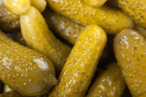 Cucumber Stock Photos