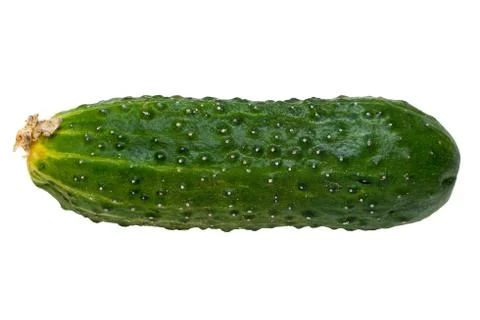 Cucumber Stock Photos