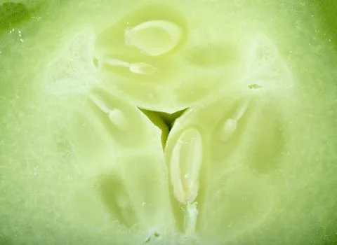 Cucumber Stock Photos