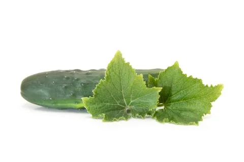 Cucumber Stock Photos