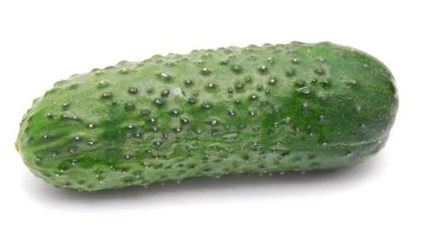 Cucumber Stock Photos