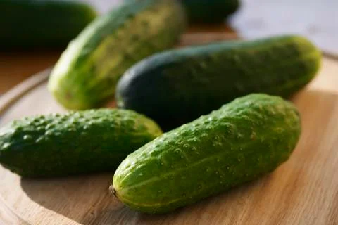 Cucumber Stock Photos