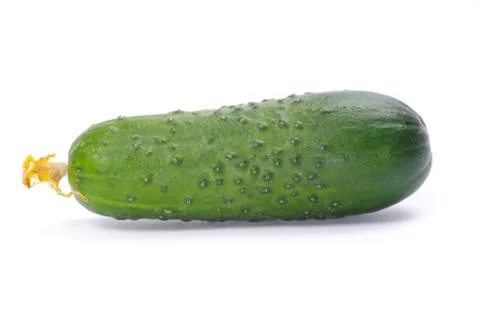 Cucumber Stock Photos