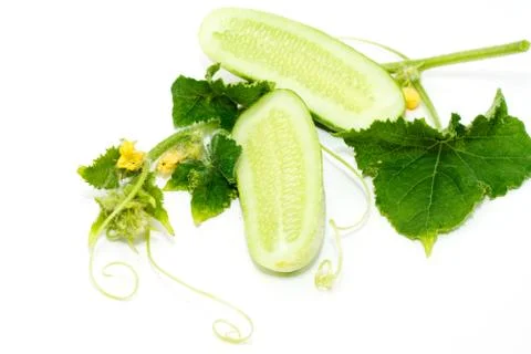 Cucumber Stock Photos