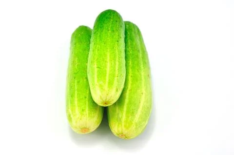 Cucumber Stock Photos