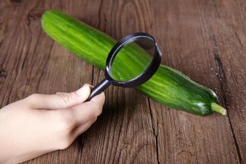 Cucumber Stock Photos