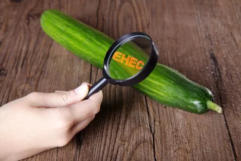 Cucumber Stock Photos