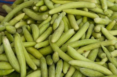 Cucumber Stock Photos