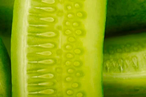 Cucumber Stock Photos