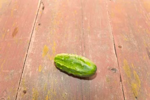 Cucumber Stock Photos