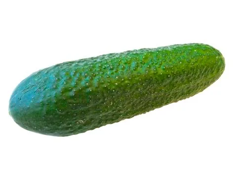 Cucumber Stock Photos