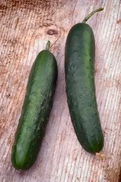 Cucumber Stock Photos