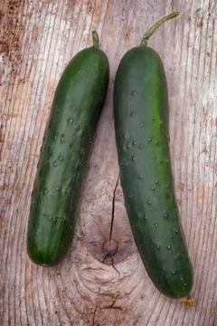 Cucumber Stock Photos