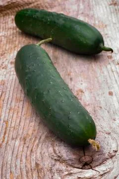 Cucumber Stock Photos