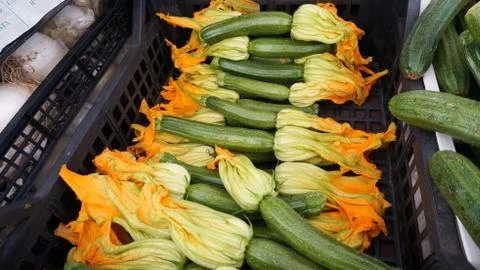 Cucumber Stock Photos