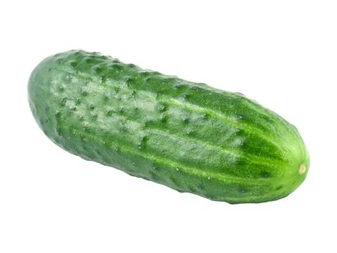 Cucumber. Stock Photos