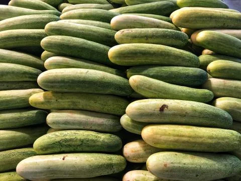 Cucumber 写真素材