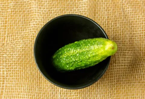Cucumber Stock Photos