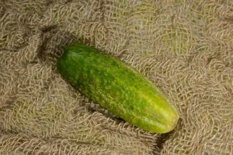 Cucumber Stock Photos