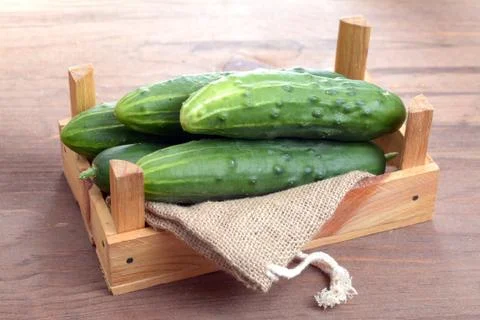Cucumber Stock Photos