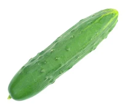 Cucumber Stock Photos