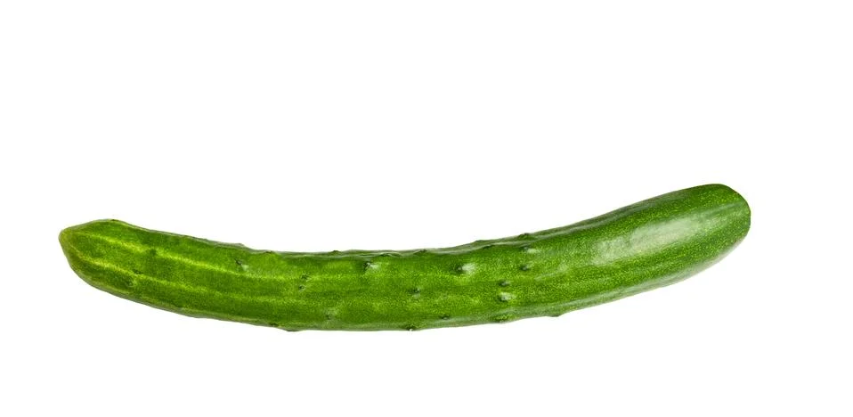Cucumber Stock Photos