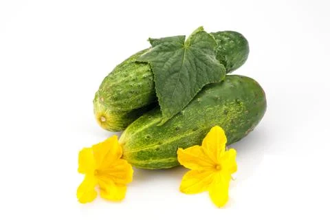 Cucumber Stock-Fotos