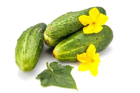 Cucumber Foto stock
