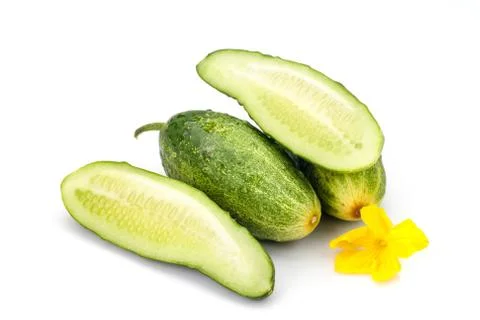 Cucumber Foto stock