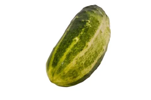 Cucumber Stock Photos