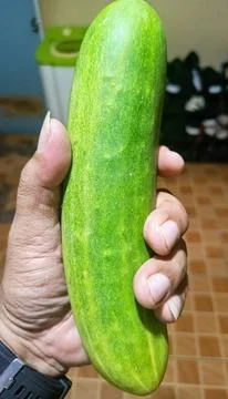 CUCUMBER Stock Photos