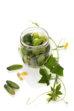 Cucumber. Pickles. Stock Photos