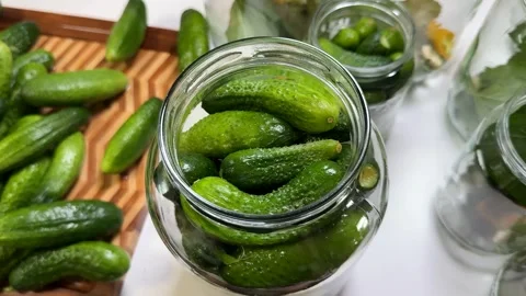 Cucumber Pickling Process Stock Footage 313363920
