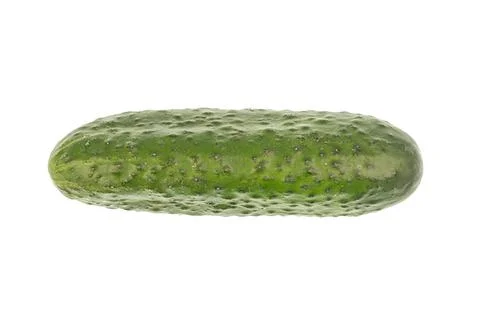 Cucumber on plain white background, vibrant green color, natural texture, f.. Stock Photos