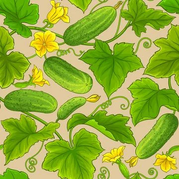 Cucumber plant vector pattern on color background Stock Illustration