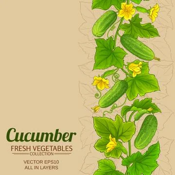 Cucumber plant vector pattern on color background Stock Illustration