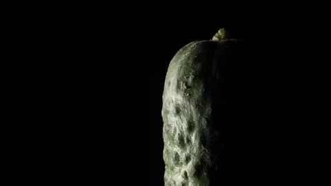 Cucumber in rotation on black background. Stock Footage 98762062
