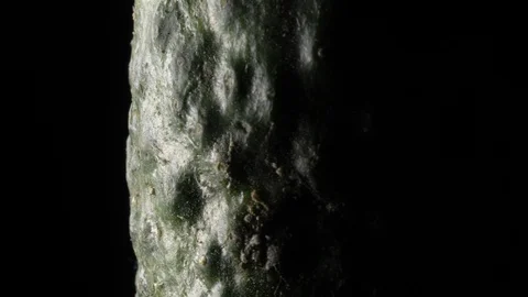 Cucumber in rotation on black background. Stock Footage 98762310
