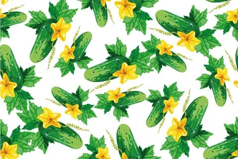 Cucumber seamless pattern on white , vector Stock Illustration