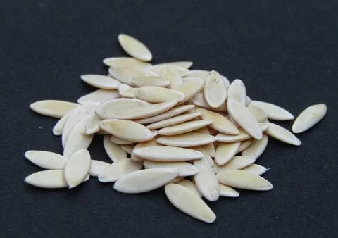 Cucumber seeds on black background  Stock Photos